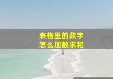 表格里的数字怎么加数求和