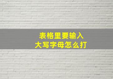 表格里要输入大写字母怎么打