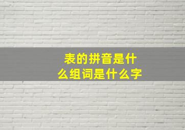 表的拼音是什么组词是什么字