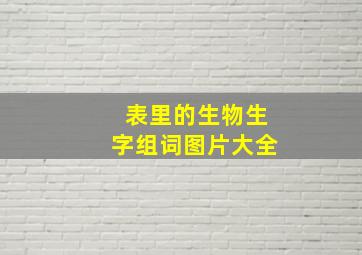 表里的生物生字组词图片大全