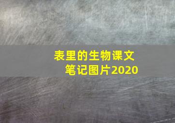 表里的生物课文笔记图片2020