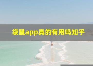 袋鼠app真的有用吗知乎