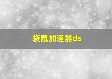 袋鼠加速器ds