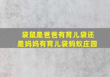 袋鼠是爸爸有育儿袋还是妈妈有育儿袋蚂蚁庄园