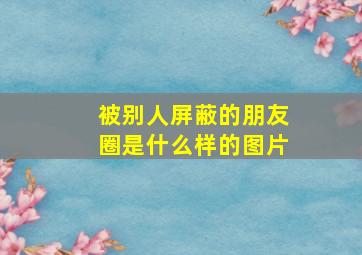 被别人屏蔽的朋友圈是什么样的图片