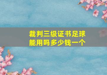 裁判三级证书足球能用吗多少钱一个