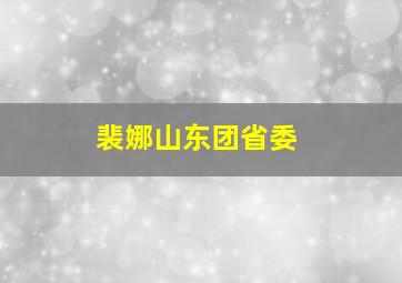 裴娜山东团省委