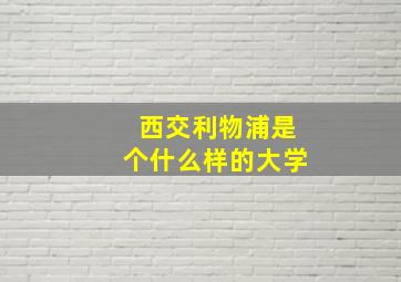 西交利物浦是个什么样的大学