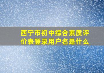 西宁市初中综合素质评价表登录用户名是什么