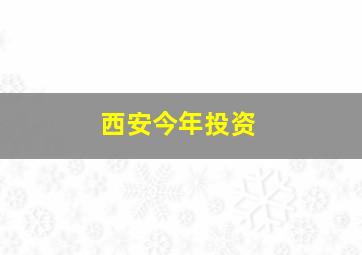 西安今年投资