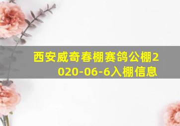 西安威奇春棚赛鸽公棚2020-06-6入棚信息