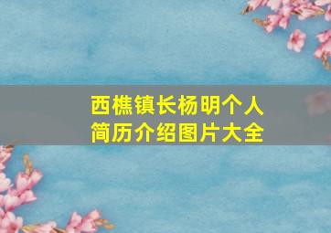 西樵镇长杨明个人简历介绍图片大全