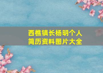 西樵镇长杨明个人简历资料图片大全