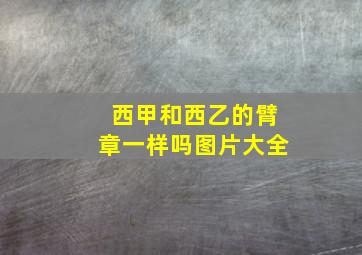 西甲和西乙的臂章一样吗图片大全