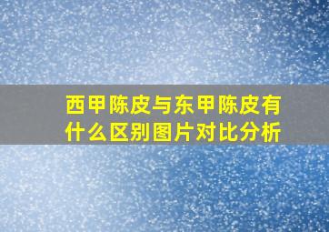 西甲陈皮与东甲陈皮有什么区别图片对比分析