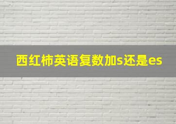 西红柿英语复数加s还是es