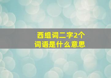 西组词二字2个词语是什么意思