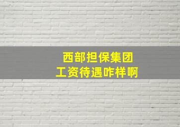 西部担保集团工资待遇咋样啊