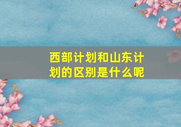 西部计划和山东计划的区别是什么呢