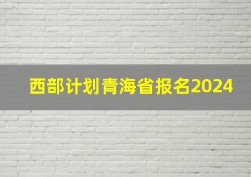 西部计划青海省报名2024