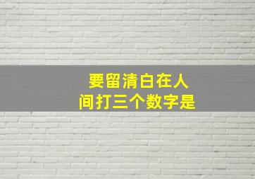 要留清白在人间打三个数字是