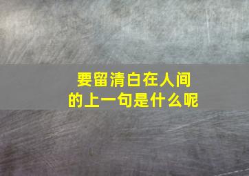 要留清白在人间的上一句是什么呢