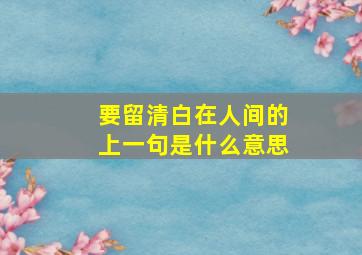 要留清白在人间的上一句是什么意思