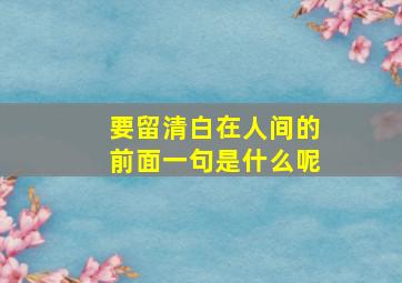 要留清白在人间的前面一句是什么呢