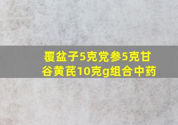 覆盆子5克党参5克甘谷黄芪10克g组合中药