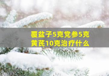 覆盆子5克党参5克黄芪10克治疗什么