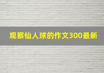 观察仙人球的作文300最新