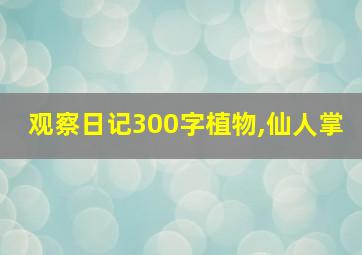 观察日记300字植物,仙人掌