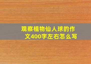 观察植物仙人球的作文400字左右怎么写