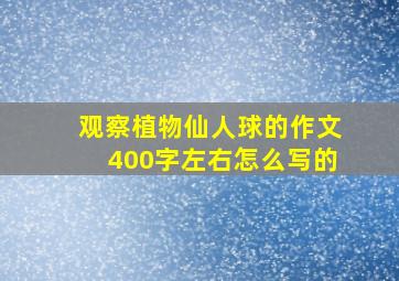 观察植物仙人球的作文400字左右怎么写的