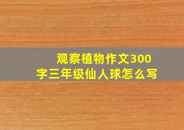 观察植物作文300字三年级仙人球怎么写