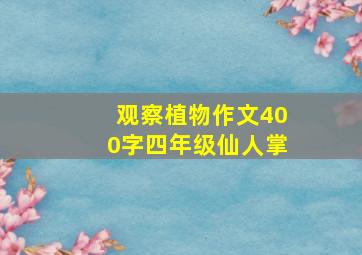 观察植物作文400字四年级仙人掌