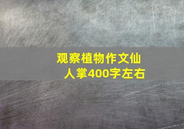 观察植物作文仙人掌400字左右