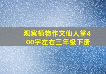 观察植物作文仙人掌400字左右三年级下册