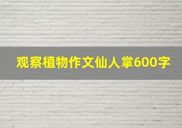 观察植物作文仙人掌600字