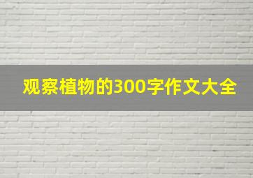 观察植物的300字作文大全