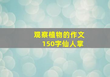 观察植物的作文150字仙人掌