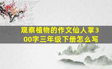 观察植物的作文仙人掌300字三年级下册怎么写