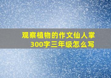 观察植物的作文仙人掌300字三年级怎么写