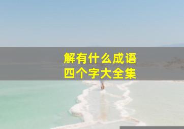 解有什么成语四个字大全集