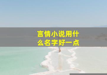 言情小说用什么名字好一点