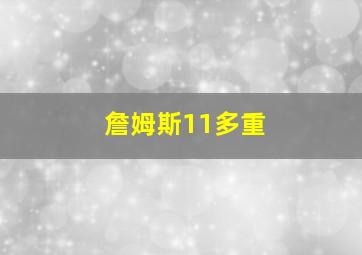 詹姆斯11多重