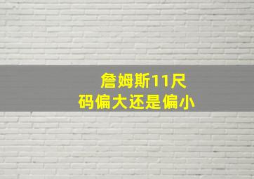 詹姆斯11尺码偏大还是偏小