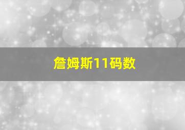 詹姆斯11码数