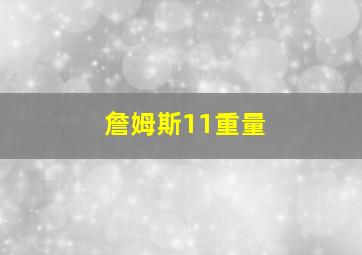 詹姆斯11重量