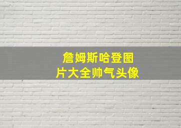 詹姆斯哈登图片大全帅气头像